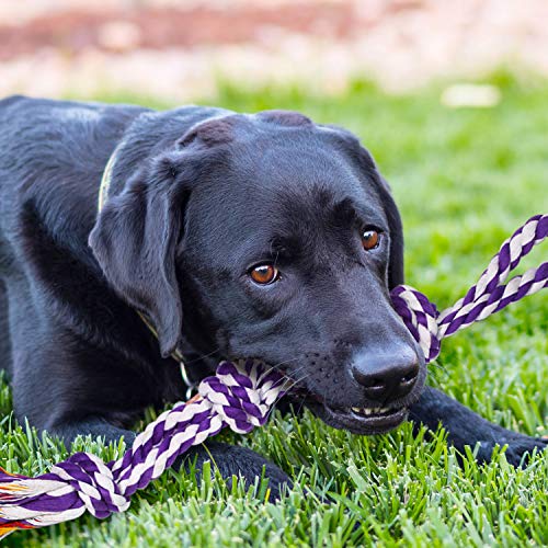 Large Tough Chew Toys for Aggressive Chewers (9 Packs / Large)