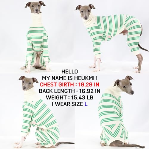 D Doggy Star Italian Greyhound Clothes Soft Stretchy Onesie Refined Stripe Outfit Whippet for Dog Coat (XL / Onesie Green Stripe)