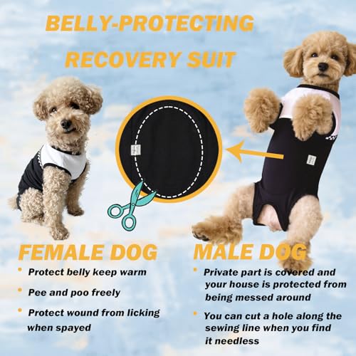 Dog Surgical Suit (Medium / black and white)