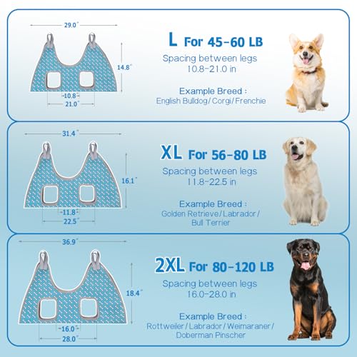 Dog Grooming Hammock for Nail Trimming (XL（ Max 85 Lb：Leg space: 11.8"-22.5"） / Coral Blue)