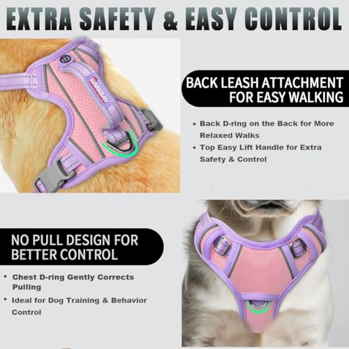 Dog Harness for Small Sized Dog No Pull Dog Vest ID Tag Pocket (Baby Pink & Violet Purple / X-Small)
