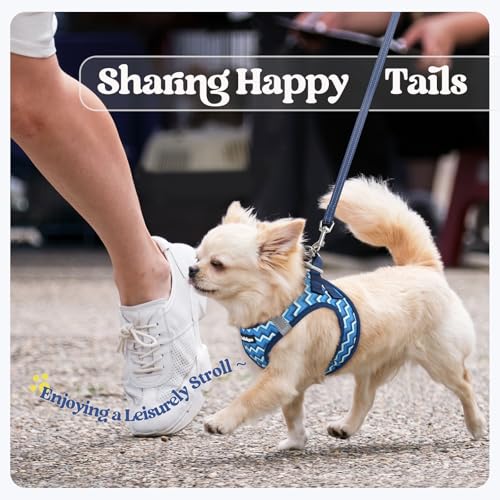 Dog Harness Medium Sized and Leash Set (Blue Zigzag / L (chest: 18.2 - 20.5"))