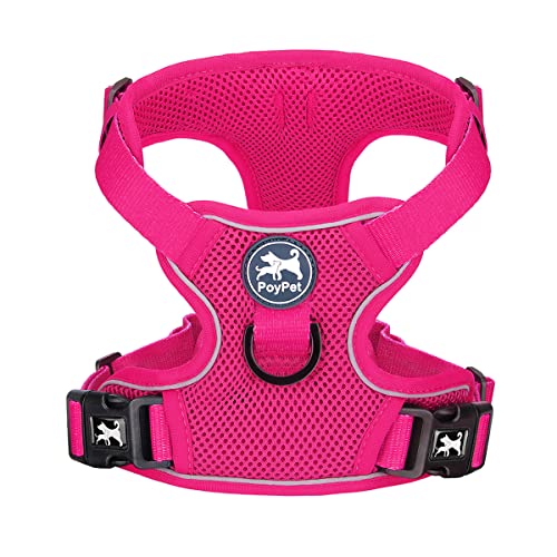 Mesh Dog Harness (XL / Fuchsia)