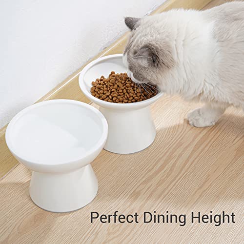 Extra Wide Elevated Ceramic 6.2" Deeper Cat Water Bowl (White-Deeper)