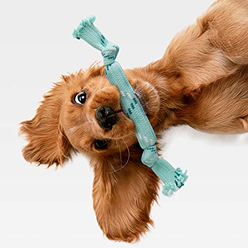 Puppy Rope & Tug of War Toys for Teething