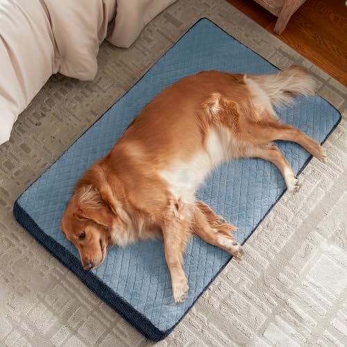 XL Dog Beds Large Sized Dog (XL(41"x27") / Blue)