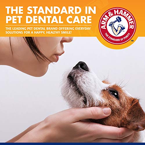 Tartar Control Dog Dental Kit (2.5 Ounce (Pack of 48))