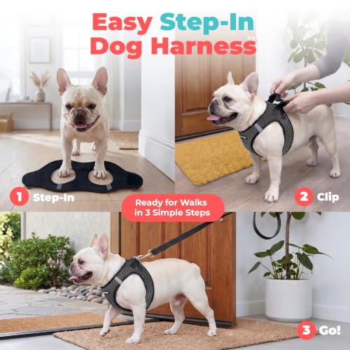 Voyager Step in Air Dog Vest Harness (Gray 2-Tone / S (Chest: 14.5 - 16"))