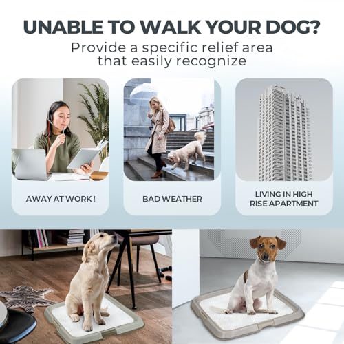Dog Training Pee Pad Holder Tray
