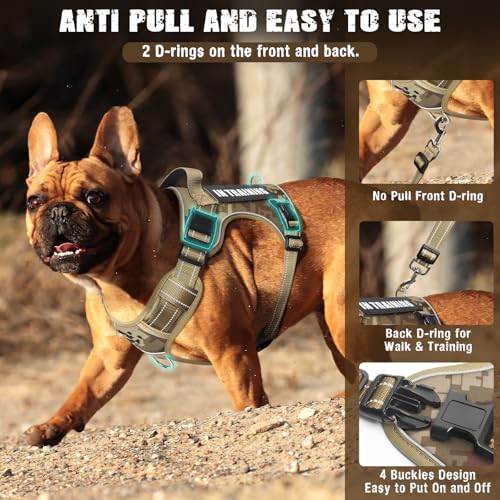 Tactical Service Dog Vest and Leash Set with 10 Patches Camo S (Small / Desert Camo)