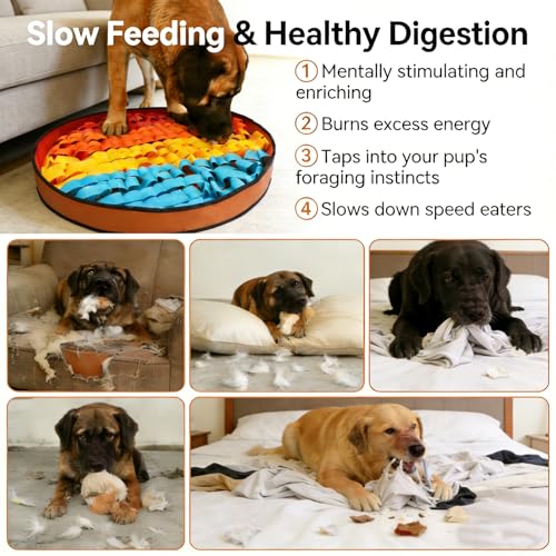 Snuffle Mat for Dogs Large Breed (Rainbow)