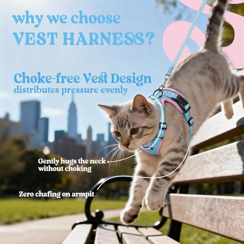 Cat Harness and Leash Set (Xxs / Light Blue & Pink)