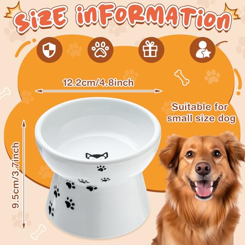 2 Pack Elevated Dog Bowls for Small Dogs and Cats
