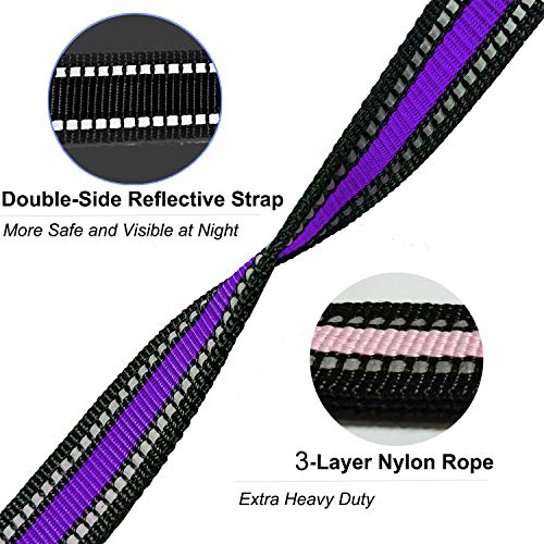 Short Dog Leash (Wide-Purple)