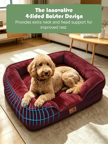 Orthopedic Dog Bed with Sides (42.0"L x 32.0"W x 6.5"Th / Burgundy)