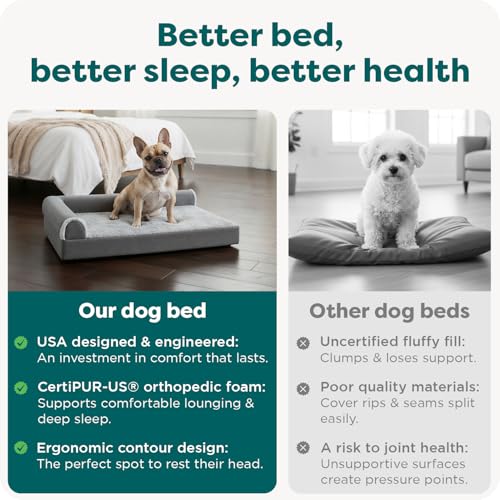 Orthopedic Dog Bed for Medium Dogs (Medium / Stone Gray)