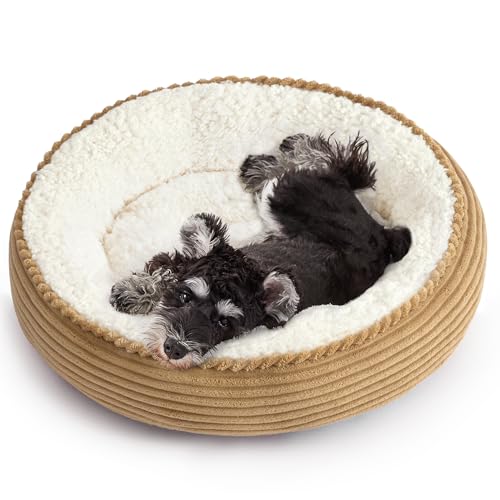 Round Donut Cat and Dog Cushion Bed (Beige / 24.0"L x 24.0"W x 6.5"Th)