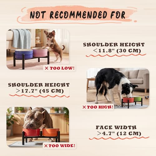 Ceramic Elevated Dog Bowl Set (Thread red+green / 3.5 Cups)