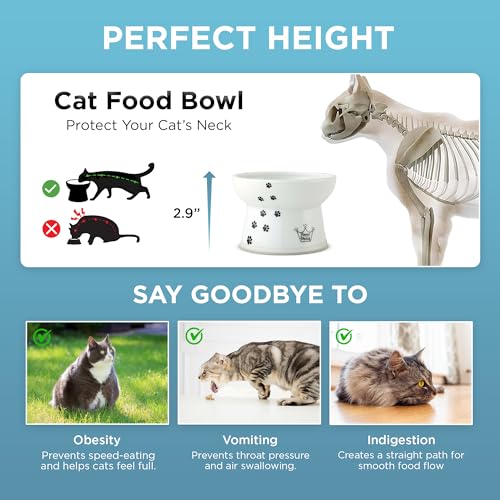 Necoichi Ceramic Elevated Cat Food Bowl (Cat / Regular)