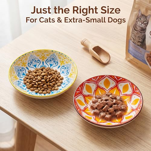 Ceramic Cat Food Bowls 6 Pack (Floral - Pads Attached)