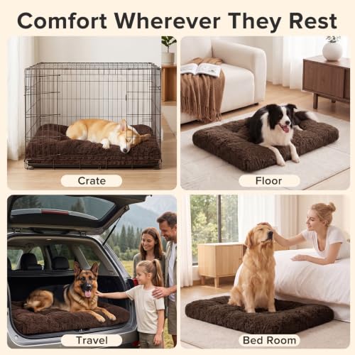 Dog Bed Crate Pad (29.0"L x 21.0"W x 3.0"Th / Brown)
