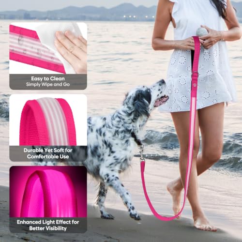 4 Ft Multi Color Light up Dog Leash (4 FT (Pink))