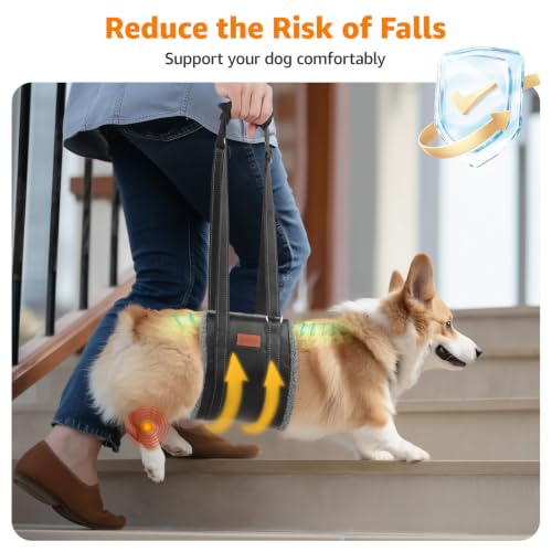 Dog Sling for Large Dogs Hind Leg Support to Help Lift Rear Legs (Grey&Black / Medium)