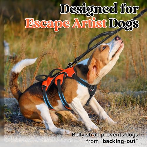 Escape Proof Dog Harness for Small (Orange / Small)