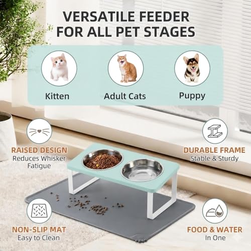 Upgraded Elevated Cat Bowls with Food Mat