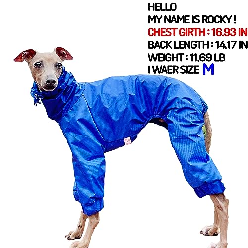 D Doggy Star Italian Greyhound Raincoat Waterproof Jacket Windbreaker Clothes Whippet for Dog (S / Raincoat Blue)