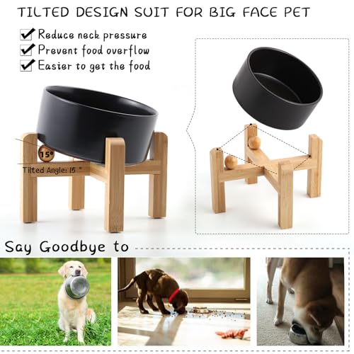 Black Elevated (Black / 7.6 CUPS - Medium Large Dog Bowls)