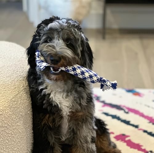 Puppy Tug Rope Toys for Small Dogs