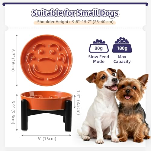 Elevated Slow Feeder Dog Bowl (Orange / S（1 Bowl with Stainless Steel Stand）)