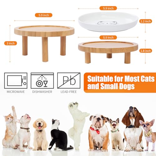Shallow Wide Elevated Cat Bowls Whisker Fatigue (Blue)