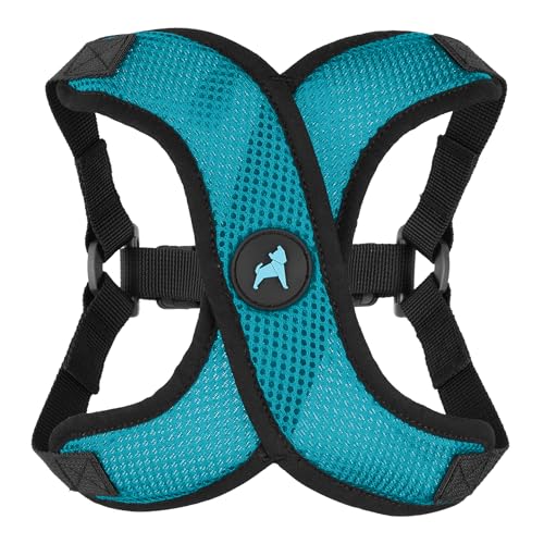 Comfort X Step (Medium (16-20") / Turquoise)