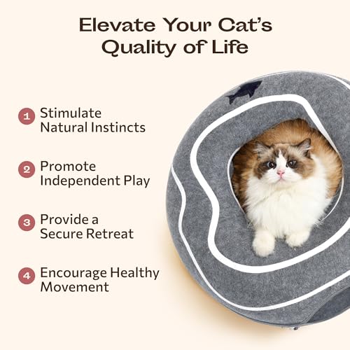 Peekaboo Cat Cave Donut (Dark Gray)