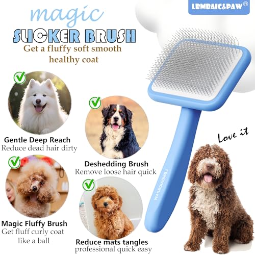 Dog Brush for Poodles (Blue)