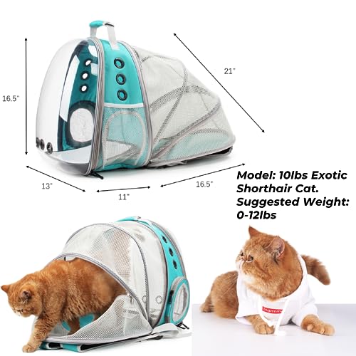 Cat Carrier Backpack (Back Expandable-Green)