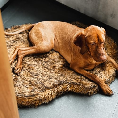 Faux Fur Orthopedic Dog Bed (Brown / Large/Extra Large)