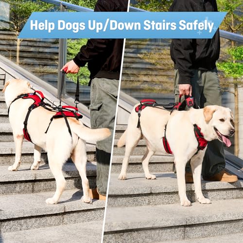 Dog Lifting Harness for Medium Dogs (Red / Medium)