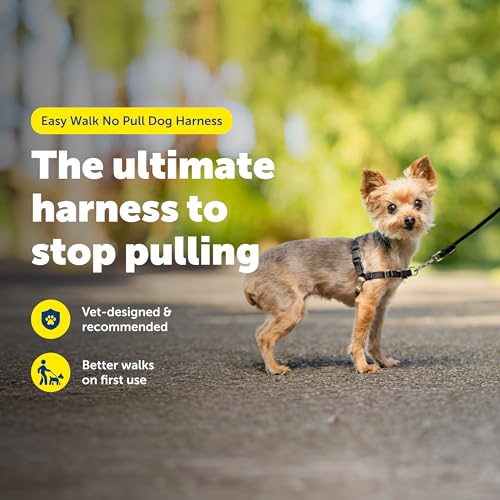 Easy Walk Harness (Petite / Black/Silver)