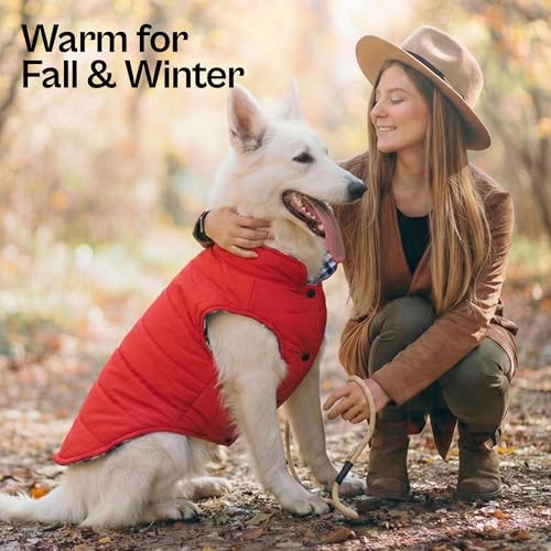 Dog Reversible Jacket (XL / Plaid Reversible Jacket)
