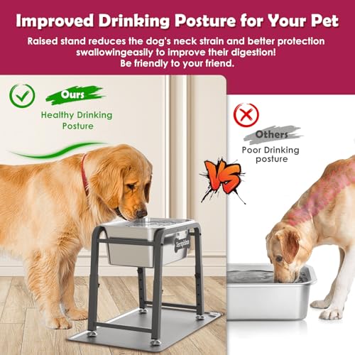 2.8 Gallon Elevated Large Dog Water Bowl with Mat (Grey-2.8 gal & mat / Height: 10.4-15.2")