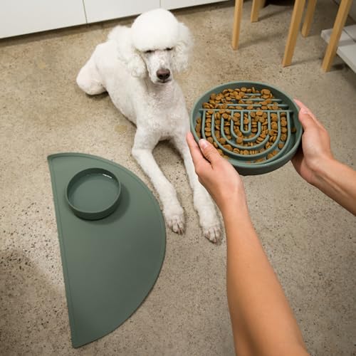 Slow Feeder Dog Bowl (Spruce - Rainbow Design / Medium (7.5” Across x 1.5” Tall))