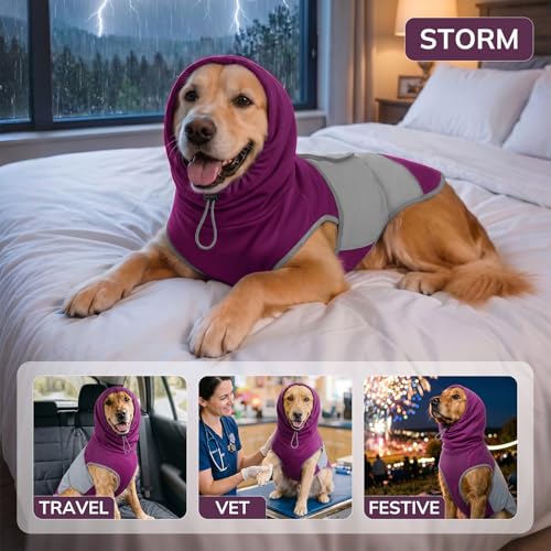 Dog Thunder Vest (Purple / S)