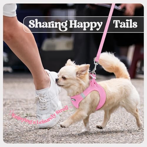 Dog Harness Small Sized and Leash Set (Light Pink / Xs (chest: 13.3 - 15.5"))
