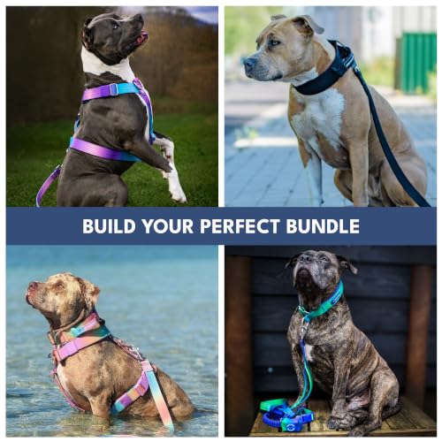 Hands Free Dog Leash (90s Retro)