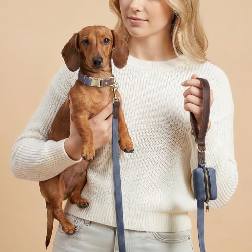 PU Leather Dog Leash for Small Dogs (Blue / 5/8"x 5FT)