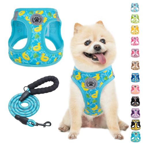 Small Dog Harness and Leash Set (Small(Chest Girth 14.5" - 16") / Blue(Duck_))