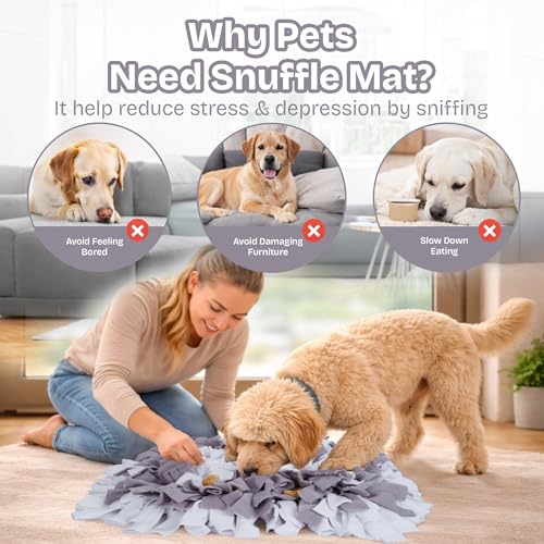 Snuffle Mat for Dogs
